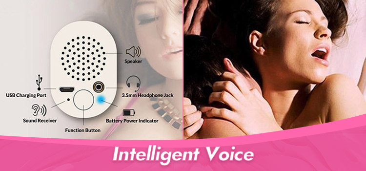 Intelligent Voice